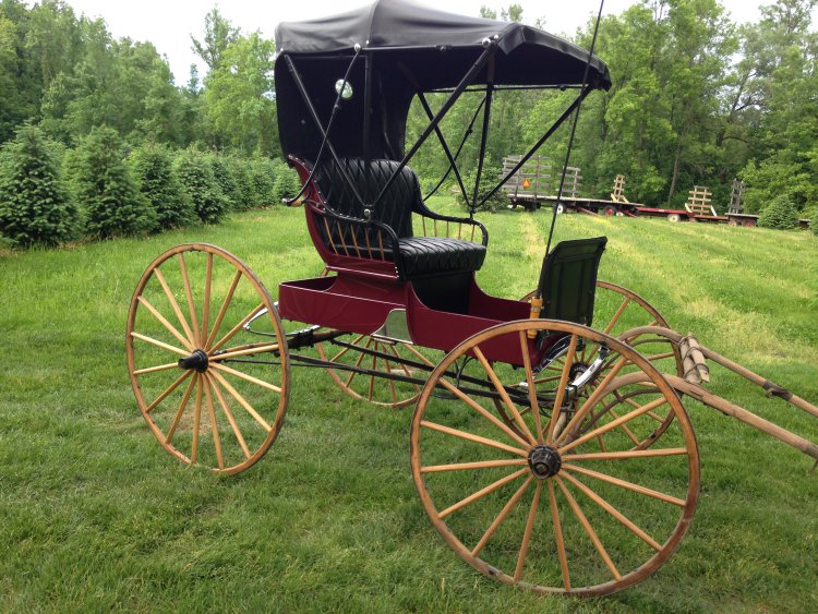 horse carriage driving carriages buggy wedding carriage rental service