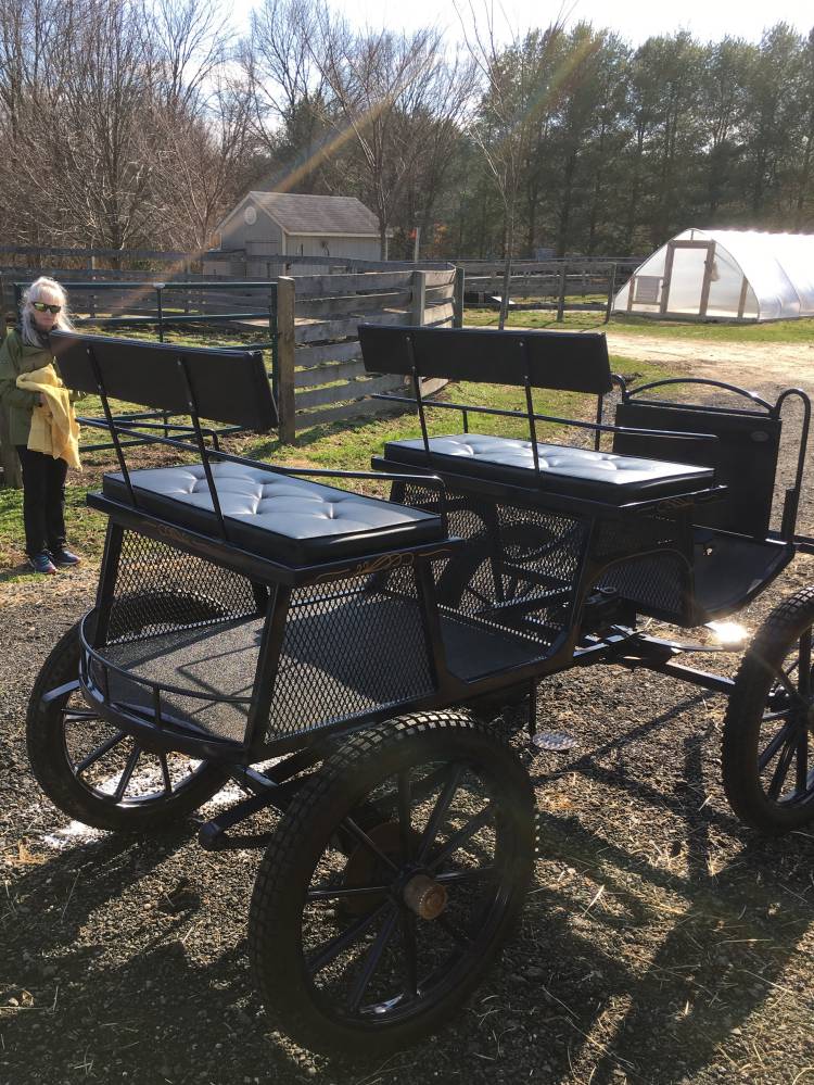 Carriage Driving Carriages for sale horse carriages, horse and buggy