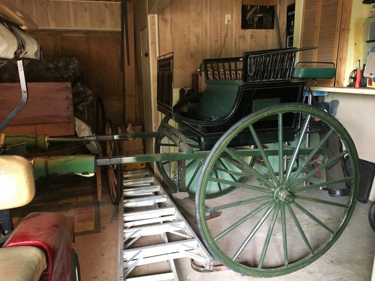 Carriage Driving, Carriages for sale, horse carriages, horse and buggy