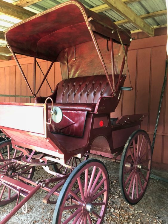 Carriage Driving, Carriages for sale, horse carriages, horse and buggy