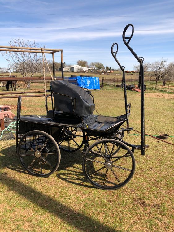 Glinkowski Marathon 100 Carriage Driving Carriages for sale horse