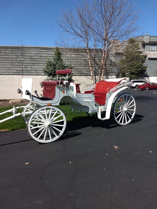 HORSE DRAWN CARRIAGE Carriage Driving Carriages for sale horse
