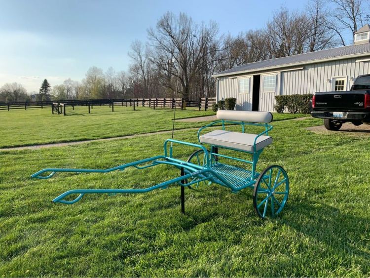 Carriage Driving, Carriages for sale, horse carriages, horse and buggy