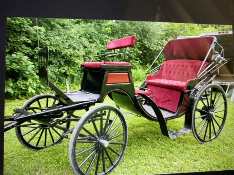 Carriage Driving, Carriages for sale, horse carriages, horse and buggy